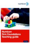 Image for Numicon Firm Foundations kit