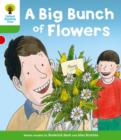 Image for Oxford Reading Tree: Level 2 More a Decode and Develop a Big Bunch of Flowers