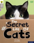 Image for Oxford Reading Tree Word Sparks: Level 1: The Secret Life of Cats
