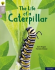 Image for Oxford Reading Tree Word Sparks: Level 1: The Life of a Caterpillar