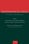 Image for A first course in mathematical logic