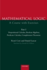 Image for A first course in mathematical logic