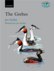 Image for The Grebes