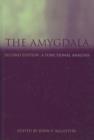 Image for The amygdala  : a functional analysis