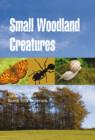Image for Small Woodland Creatures