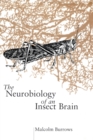 Image for The Neurobiology of an Insect Brain