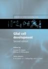 Image for Glial cell development  : basic principles and clinical relevance