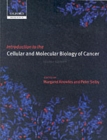 Image for Introduction to the cellular and molecular biology of cancer