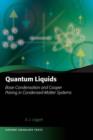 Image for Quantum Liquids