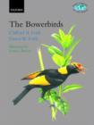 Image for Bowerbirds  : ptilonorhychidae