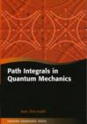 Image for Path Integrals in Quantum Mechanics