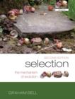 Image for Selection