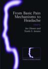 Image for From Basic Pain Mechanisms to Headache
