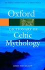 Image for A Dictionary of Celtic Mythology
