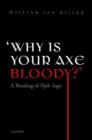 Image for &#39;Why is your axe bloody?&#39;  : a reading of Njáals saga