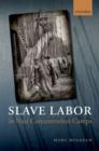 Image for Slave Labor in Nazi Concentration Camps