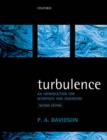 Image for Turbulence  : an introduction for scientists and engineers