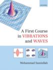 Image for A first course in vibrations and waves