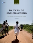 Image for Politics in the developing world