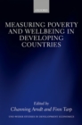 Image for Measuring Poverty and Wellbeing in Developing Countries