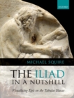Image for The Iliad in a nutshell  : visualizing epic on the Tabulae Iliacae