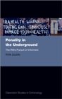 Image for Penality in the underground  : the IRA&#39;s pursuit of informers