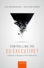 Image for Controlling the EU executive?  : the politics of delegation in the European Union