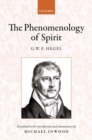 Image for Hegel  : the phenomenology of spirit