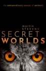 Image for Secret Worlds