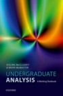 Image for Undergraduate analysis  : a working textbook