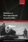 Image for Detention in non-international armed conflict