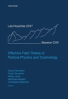 Image for Effective field theory in particle physics and cosmology