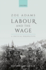 Image for Labour and the wage  : a critical perspective