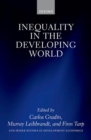 Image for Inequality in the developing world