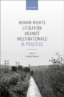 Image for Human Rights Litigation against Multinationals in Practice