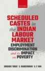 Image for Scheduled castes in the Indian labour market  : employment discrimination and its impact on poverty