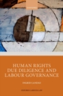Image for Human rights due diligence and labour governance