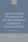 Image for Image-Based Evidence in International Criminal Prosecutions