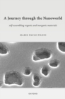 Image for A Journey through the Nanoworld