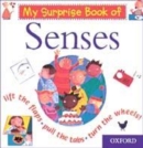 Image for My surprise book of senses