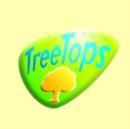 Image for Oxford Reading Tree Treetops Classics Level 14 Teaching Notes