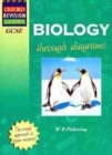 Image for Biology through diagrams