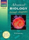Image for Advanced biology through diagrams