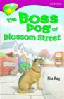 Image for Oxford Reading Tree: Level 10: Treetops Stories: Boss Dog of Blossom Street