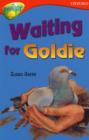 Image for Oxford Reading Tree: Level 13: Treetops Stories: Waiting for Goldie