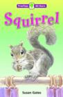 Image for Oxford Reading Tree: TreeTops More All Stars: Squirrel : Tree Squirrel