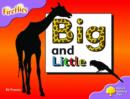 Image for Oxford Reading Tree: Stage 1+: Fireflies: Big and Little