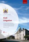 Image for Civil Litigation