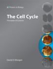 Image for The Cell Cycle