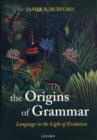Image for The Origins of Grammar